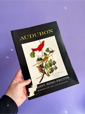 Vintage Set of 8 Audubon Bird Prints / Great Condition